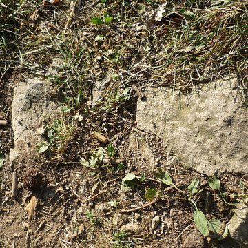 Voie romaine de Mardore