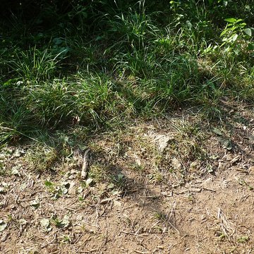 Voie romaine de Mardore