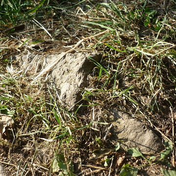 Voie romaine de Mardore