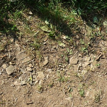 Voie romaine de Mardore