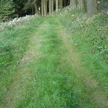 Voie romaine de Mardore