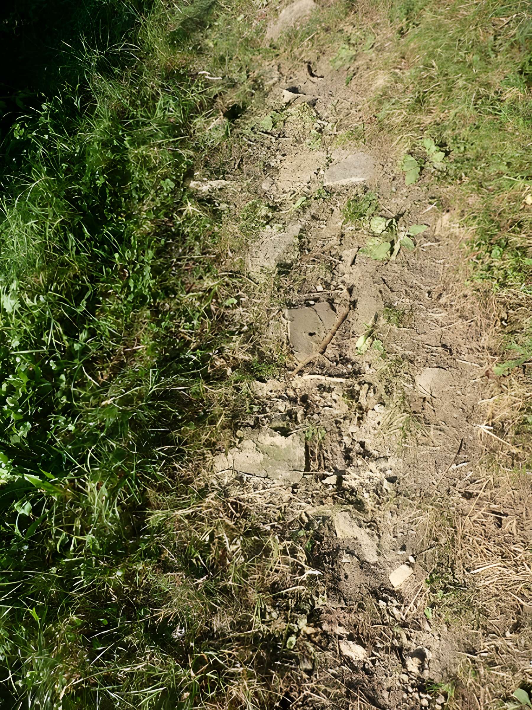 Voie romaine de Mardore 