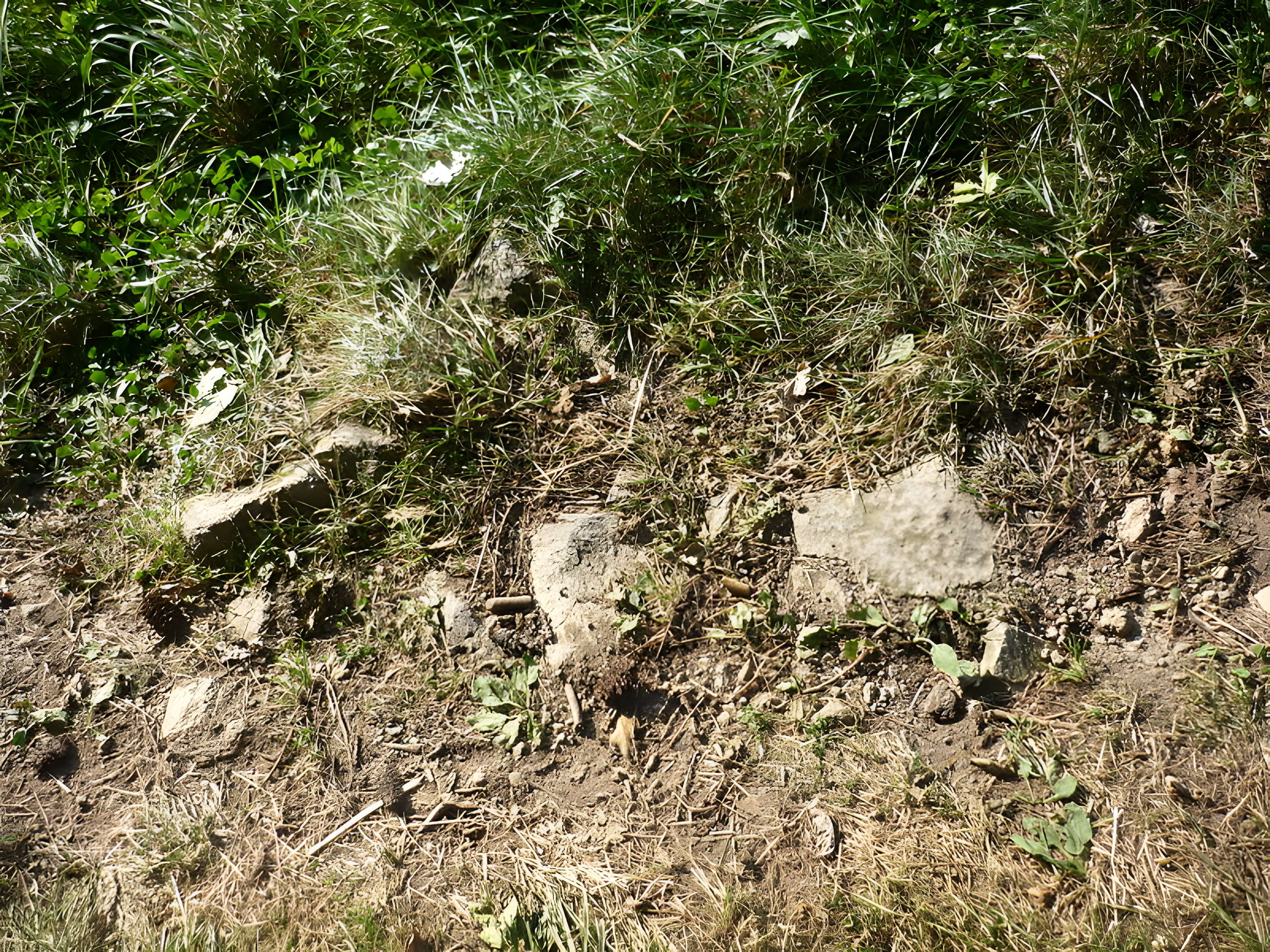 Voie romaine de Mardore