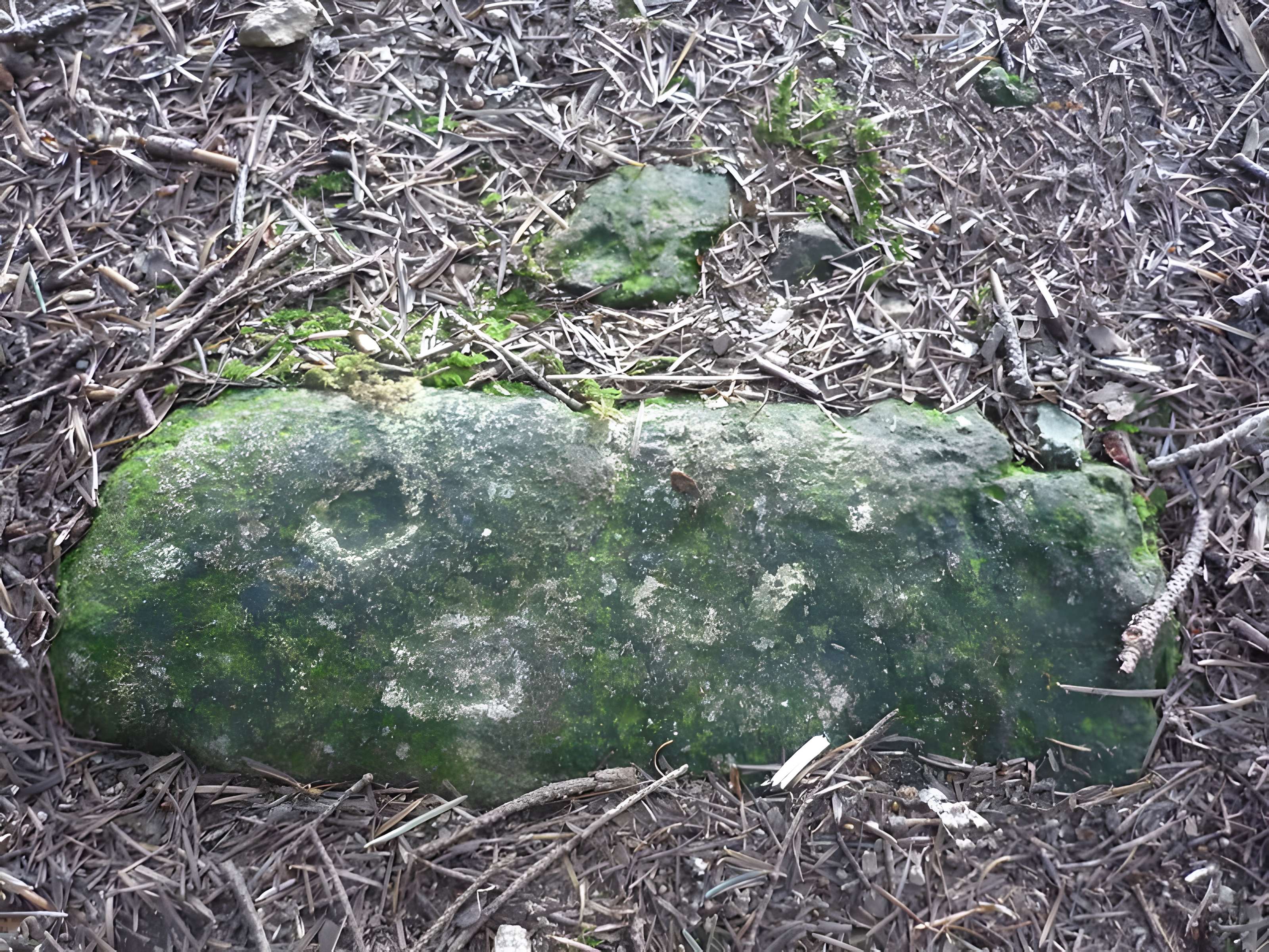 Voie romaine de Mardore