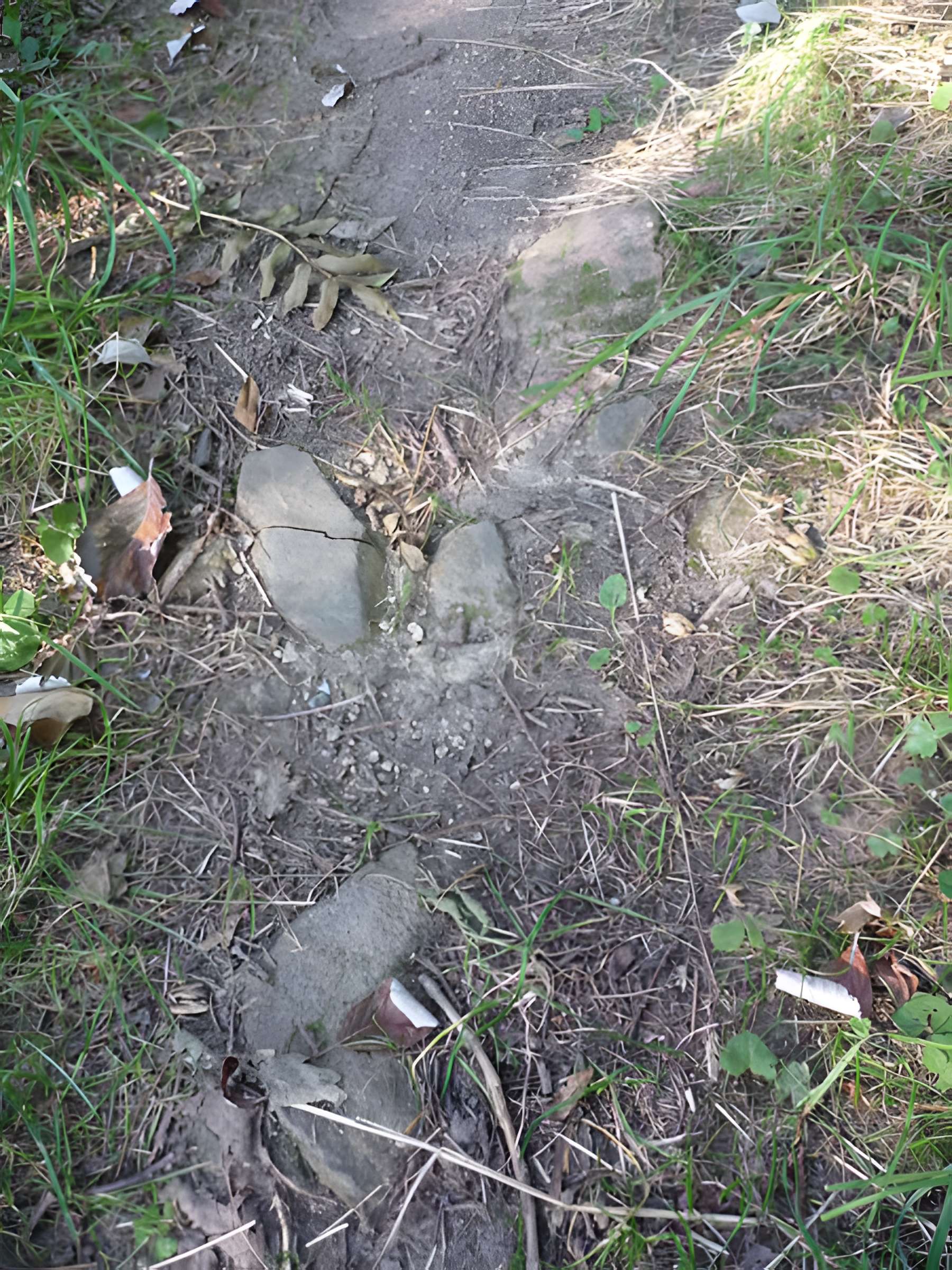 Voie romaine de Mardore