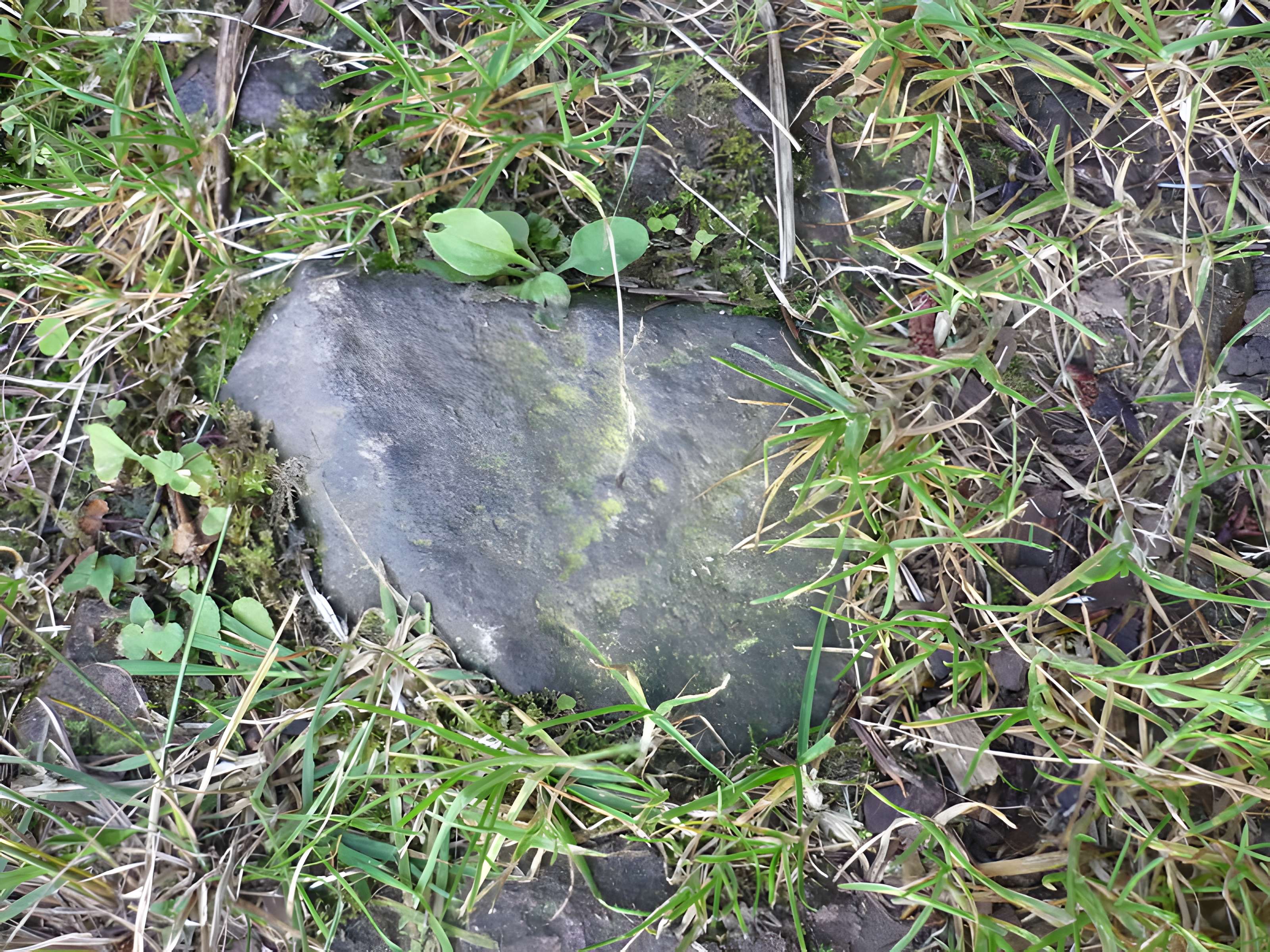 Voie romaine de Mardore