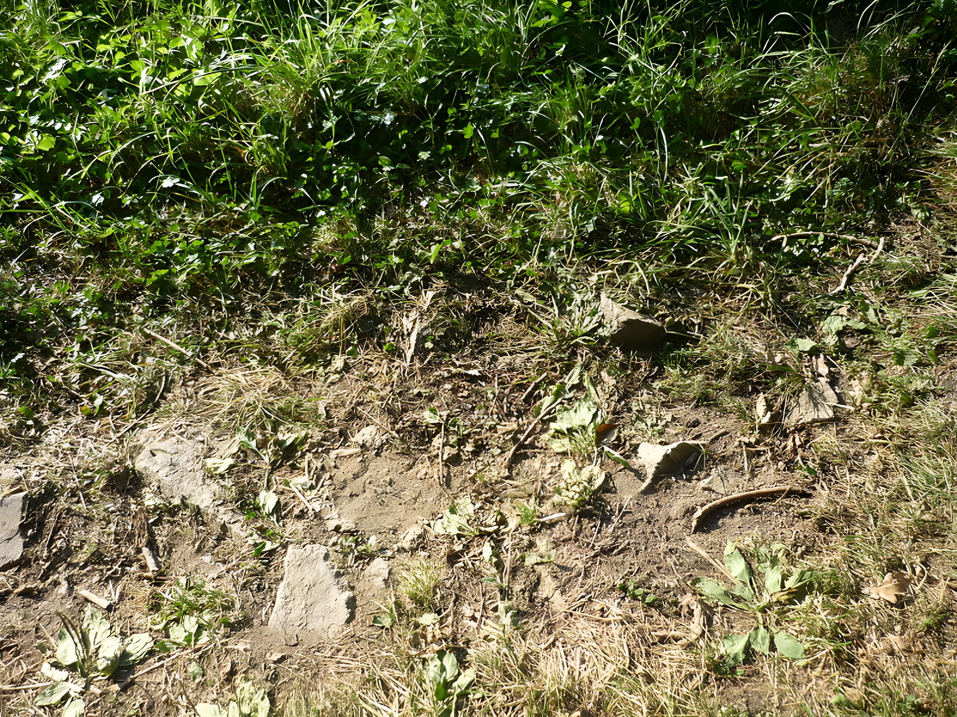 Voie romaine de Mardore