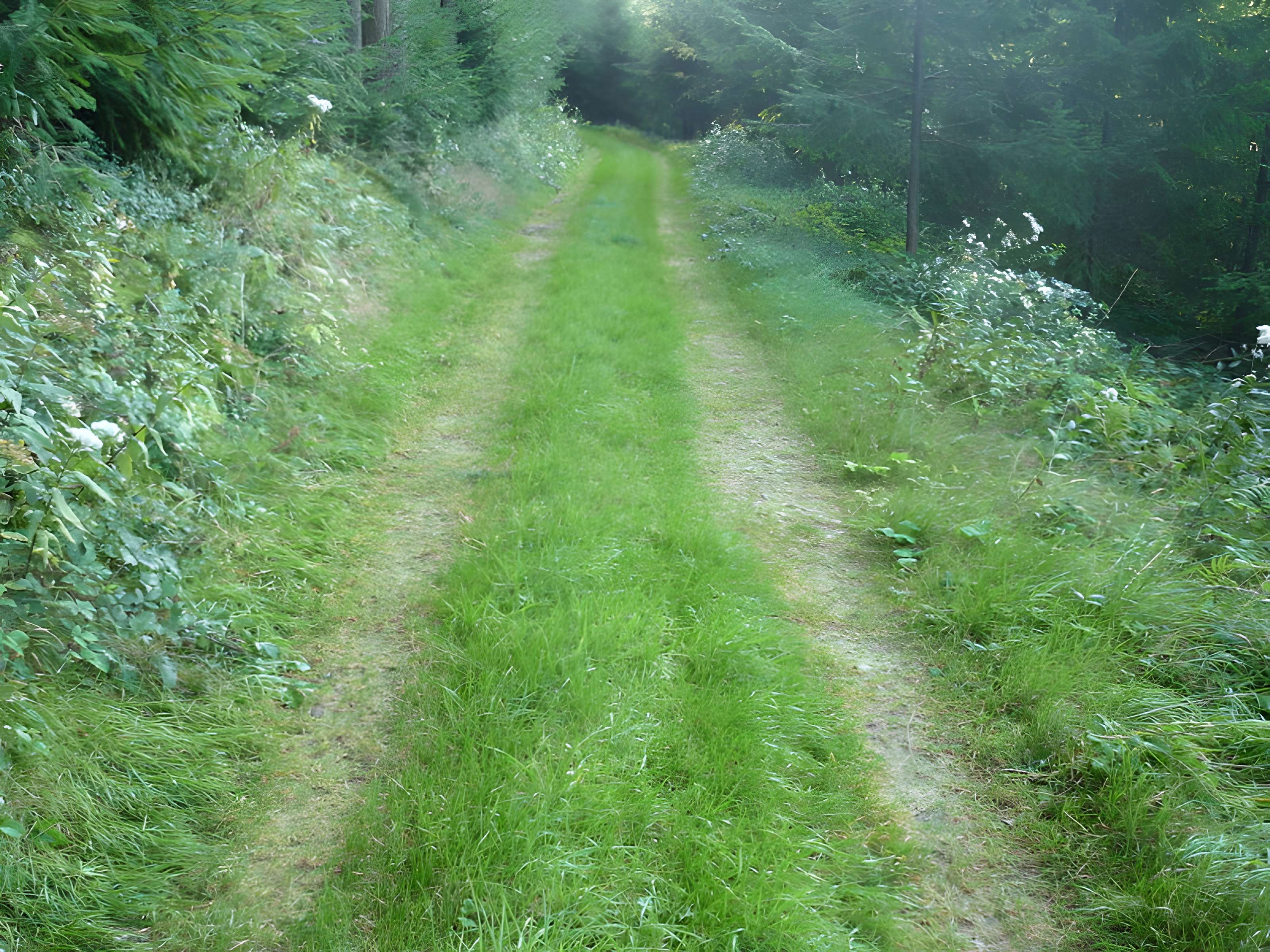 Voie romaine de Mardore