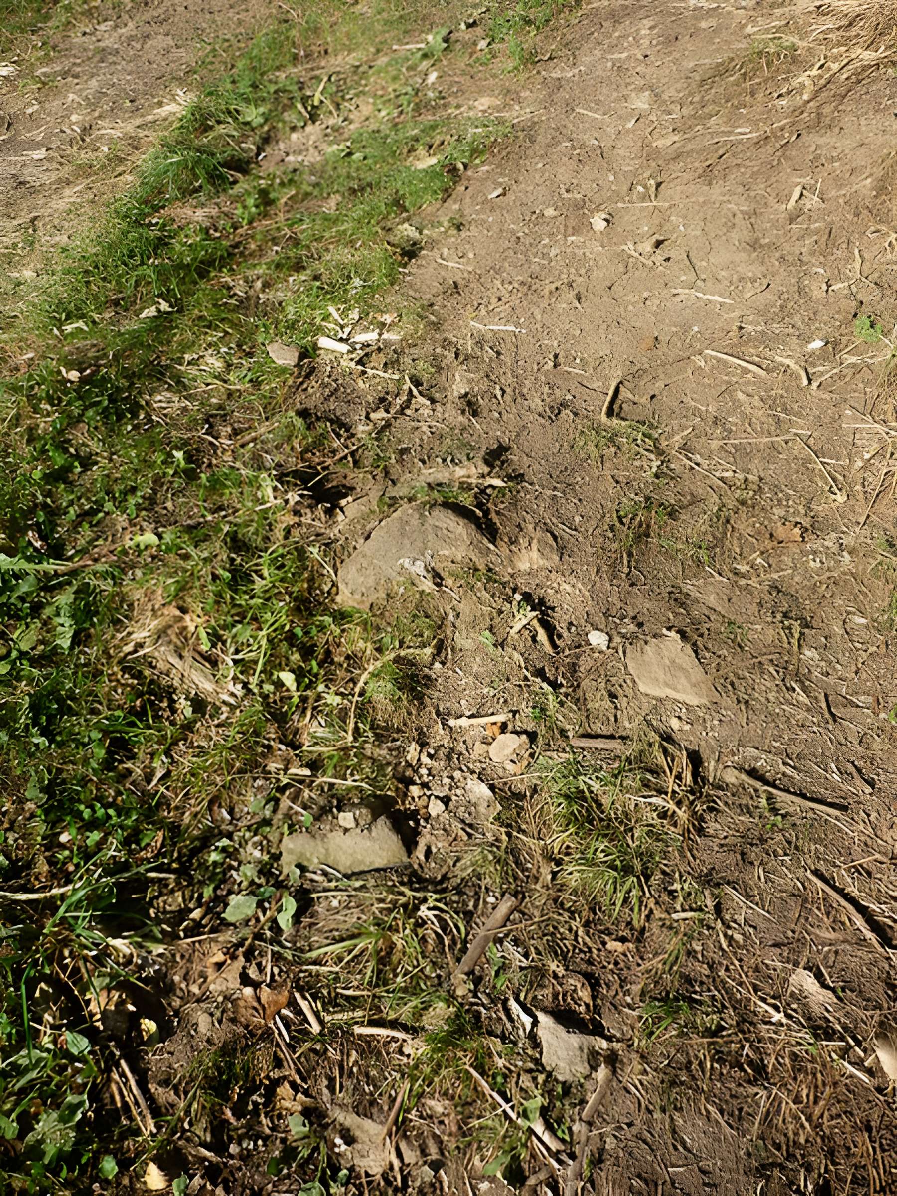 Voie romaine de Mardore