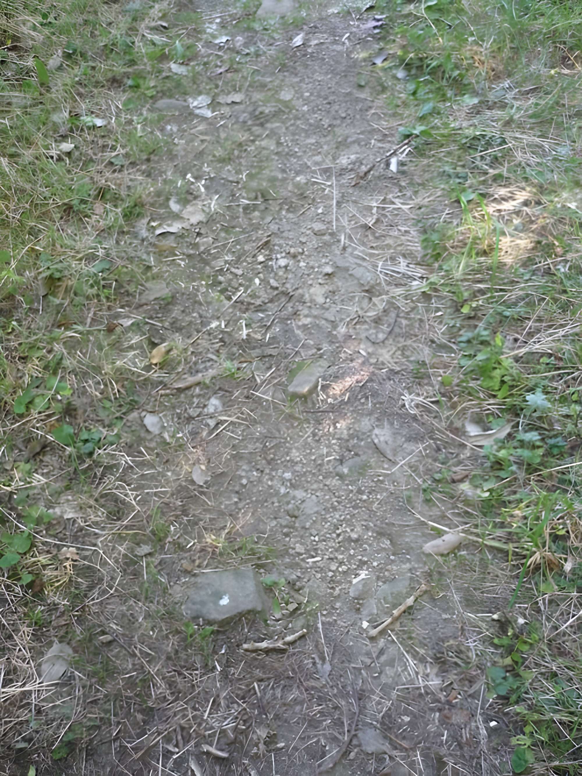 Voie romaine de Mardore