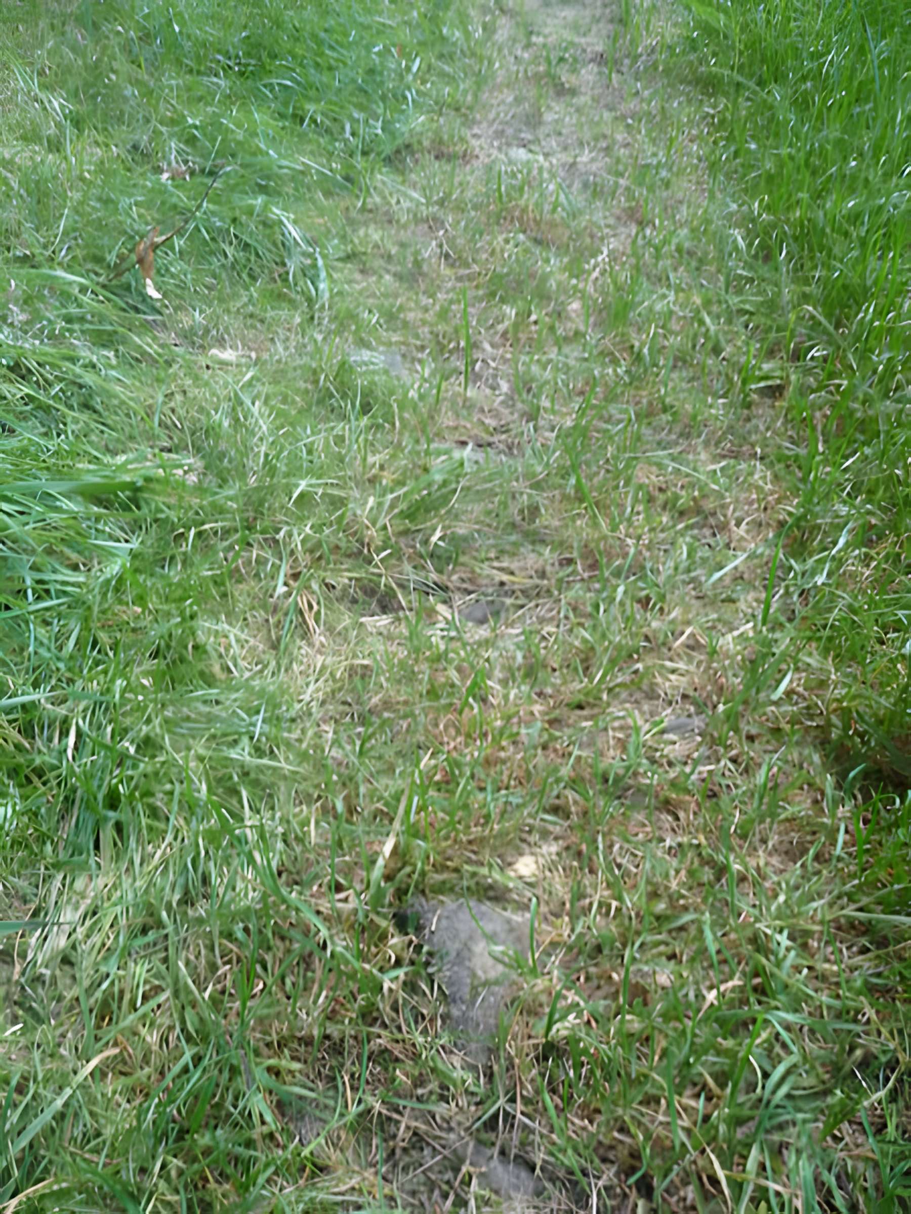 Voie romaine de Mardore