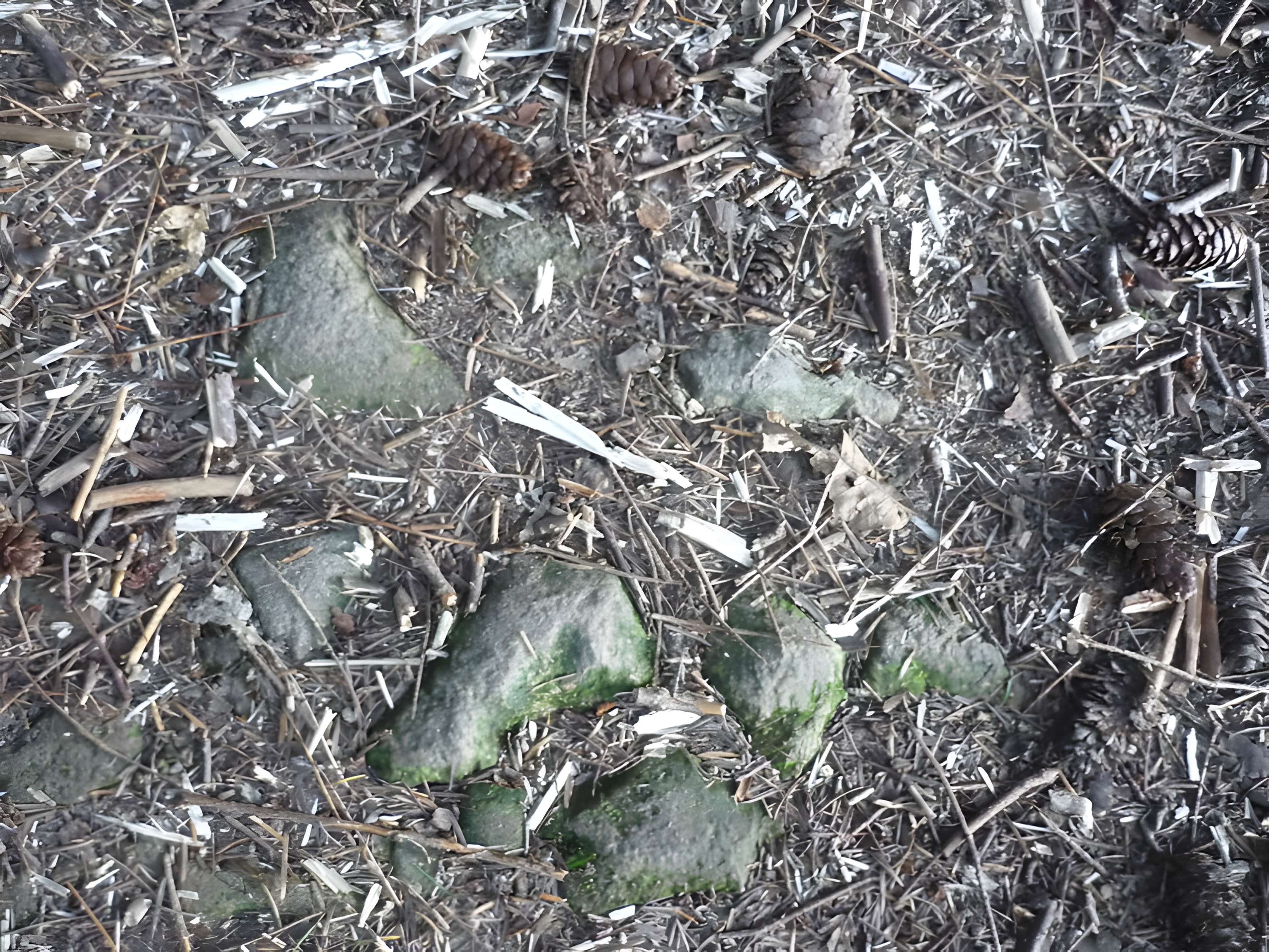 Voie romaine de Mardore