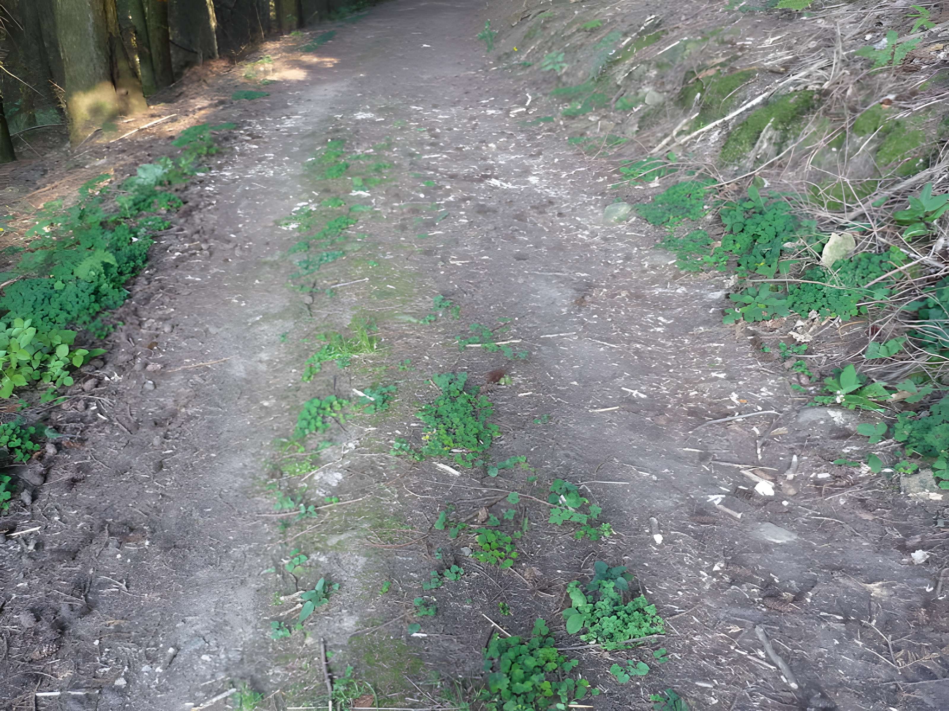 Voie romaine de Mardore