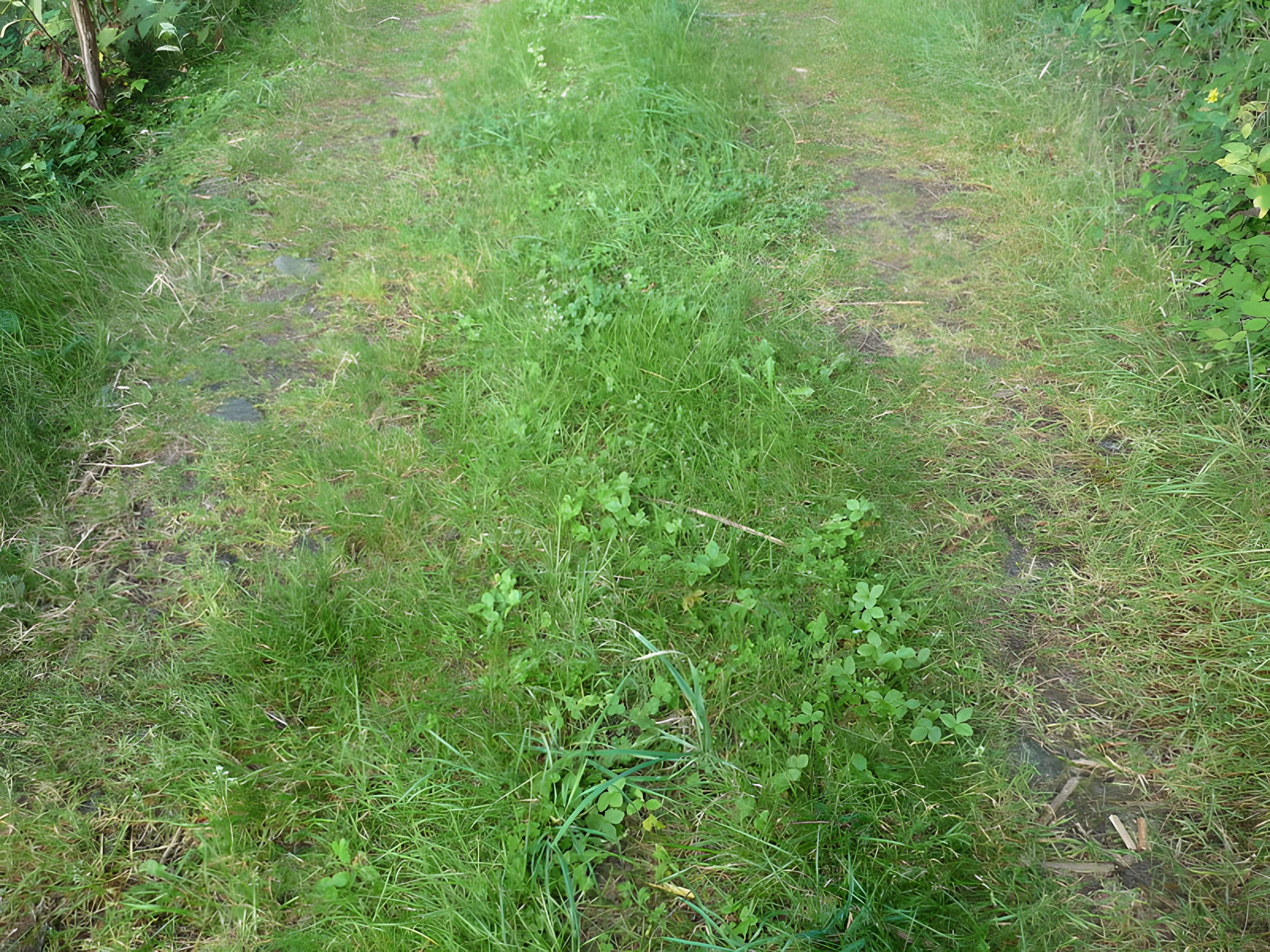 Voie romaine de Mardore