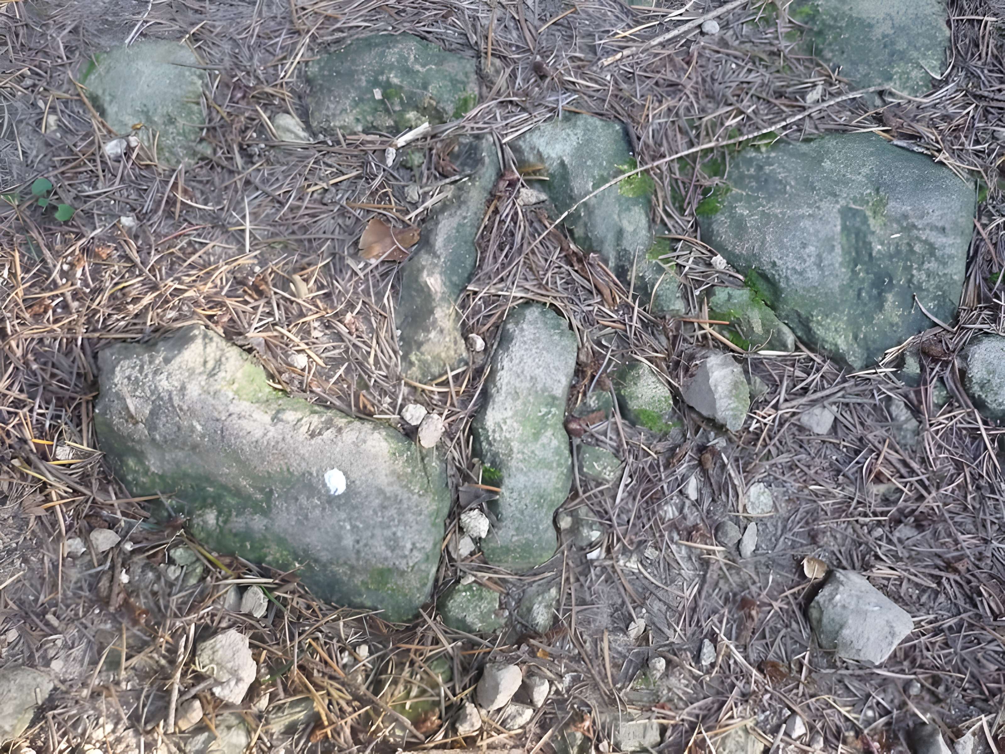 Voie romaine de Mardore