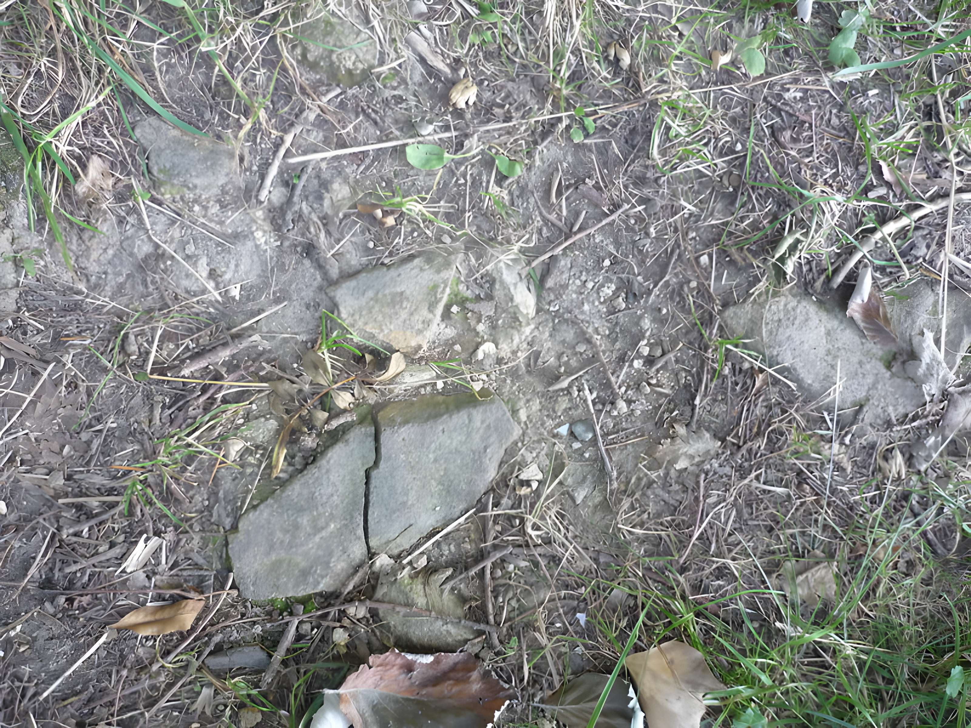 Voie romaine de Mardore