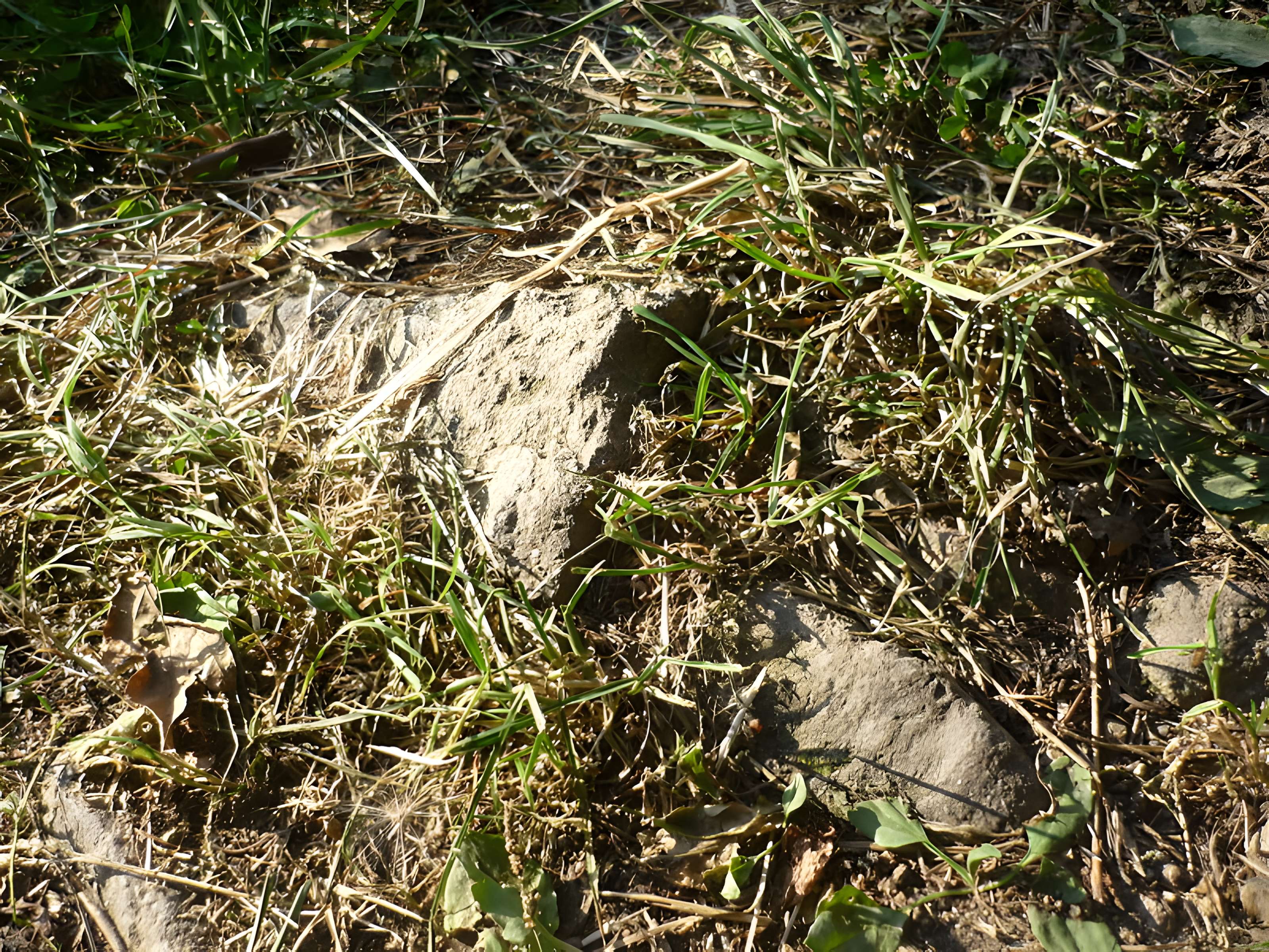 Voie romaine de Mardore