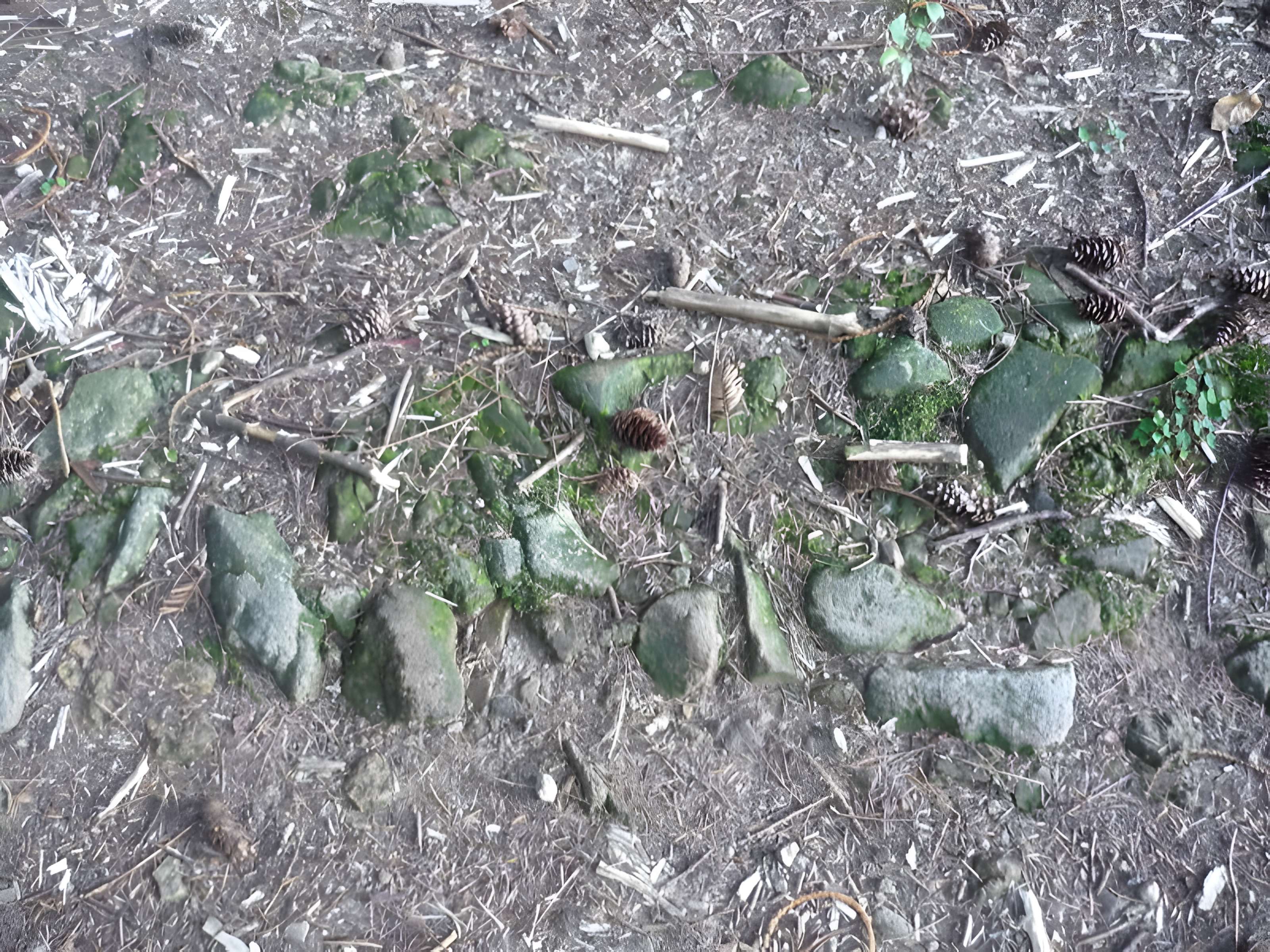 Voie romaine de Mardore