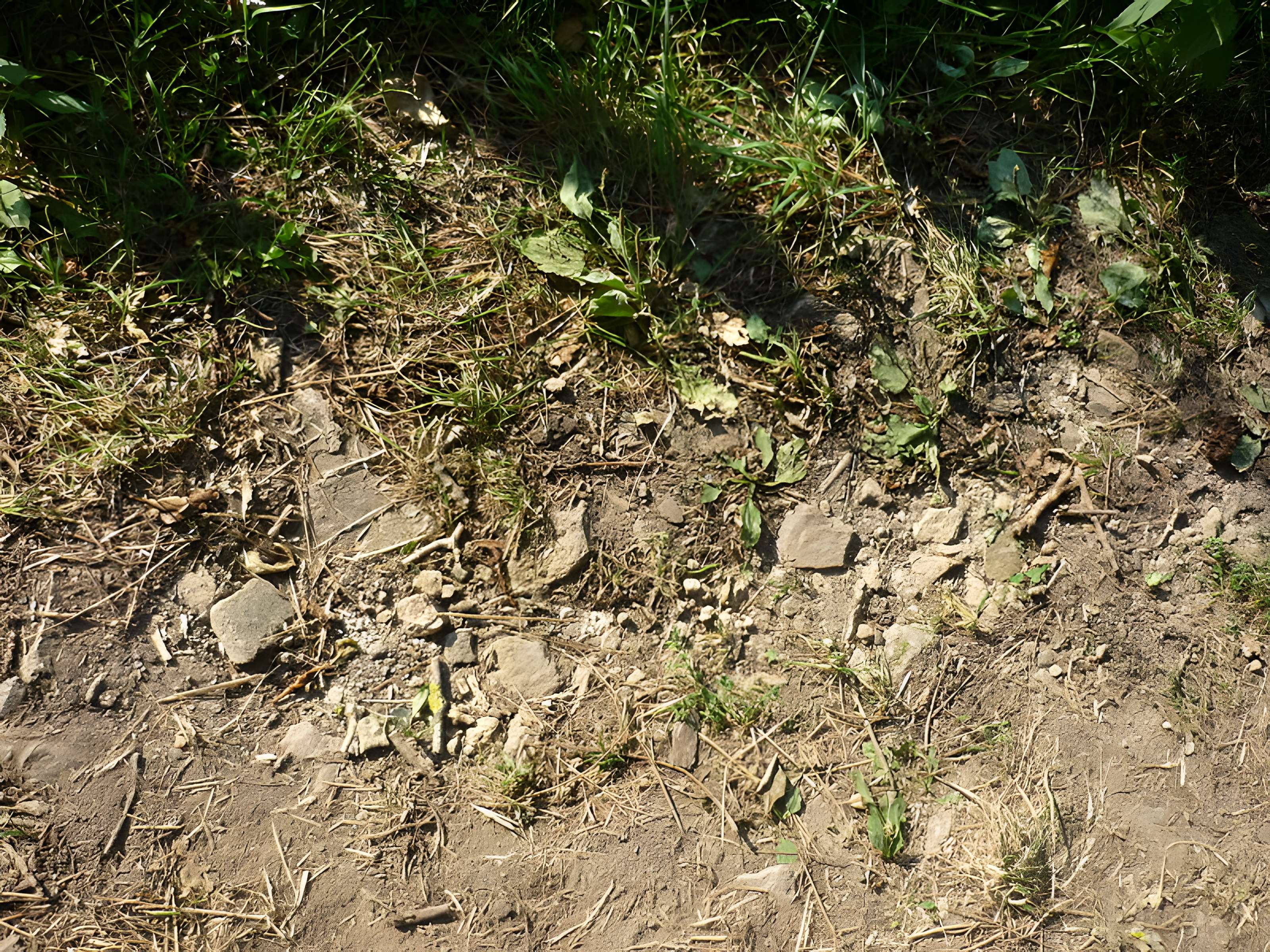 Voie romaine de Mardore