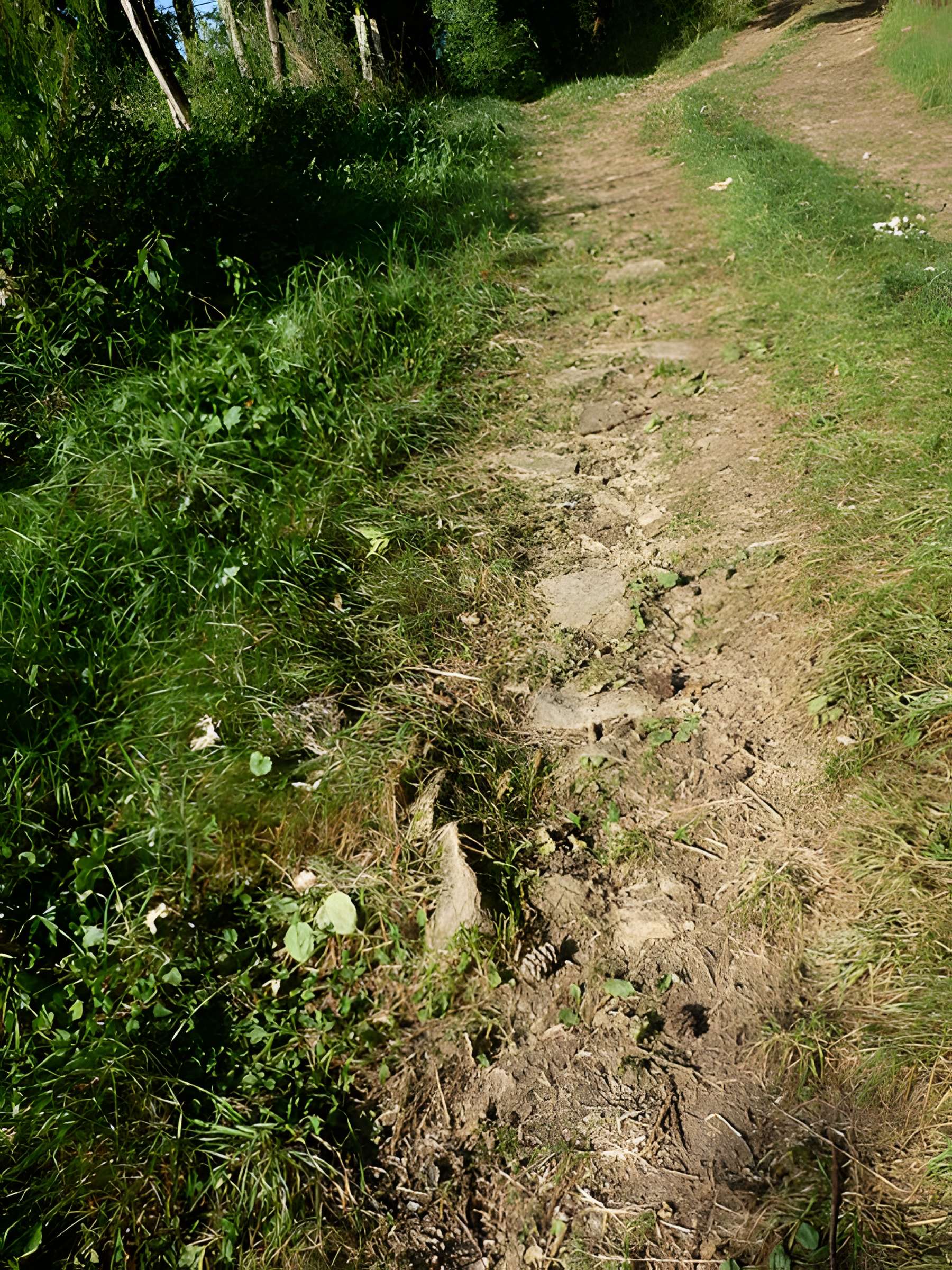 Voie romaine de Mardore