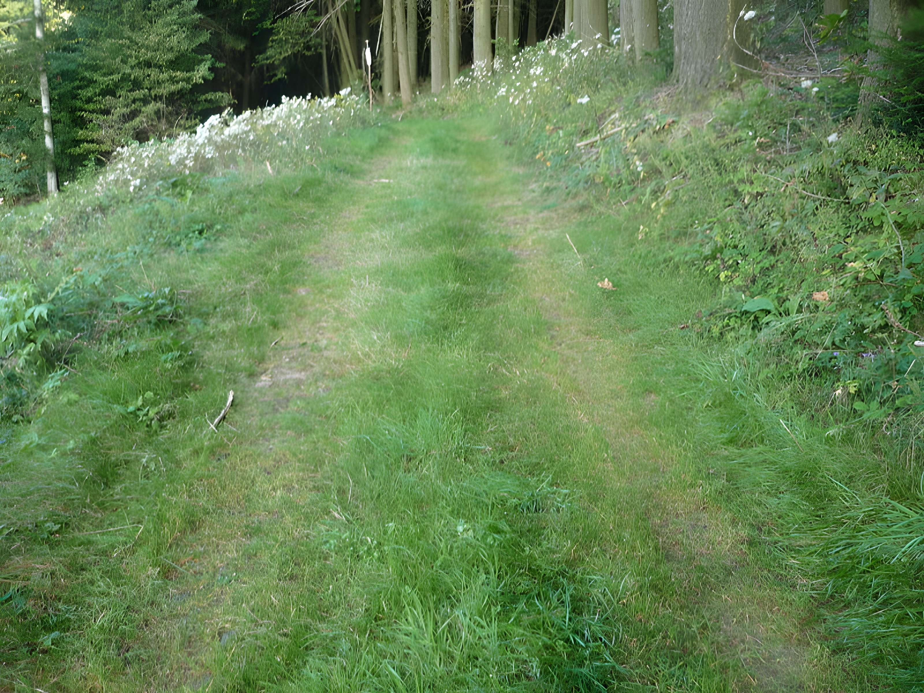 Voie romaine de Mardore