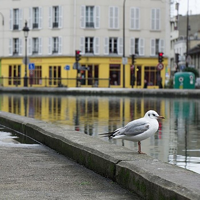 Photo de Canal Saint-Martin