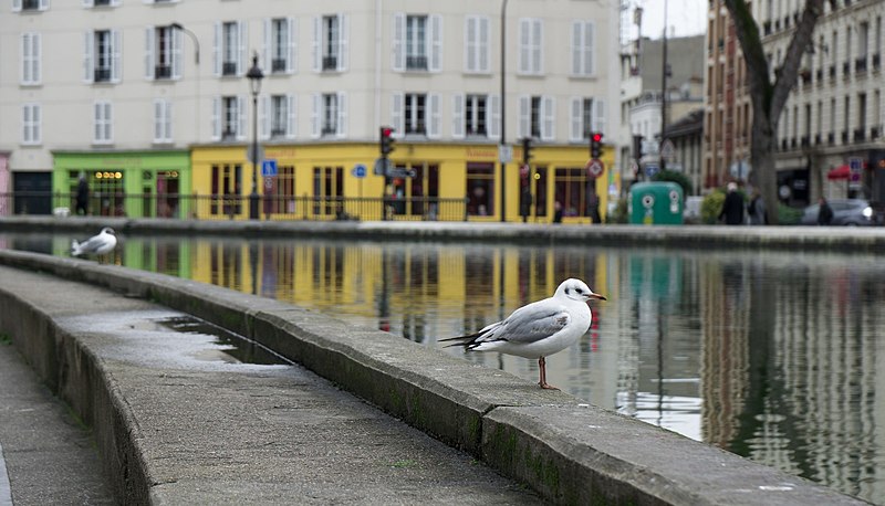 Canal Saint-Martin à Paris 11ème