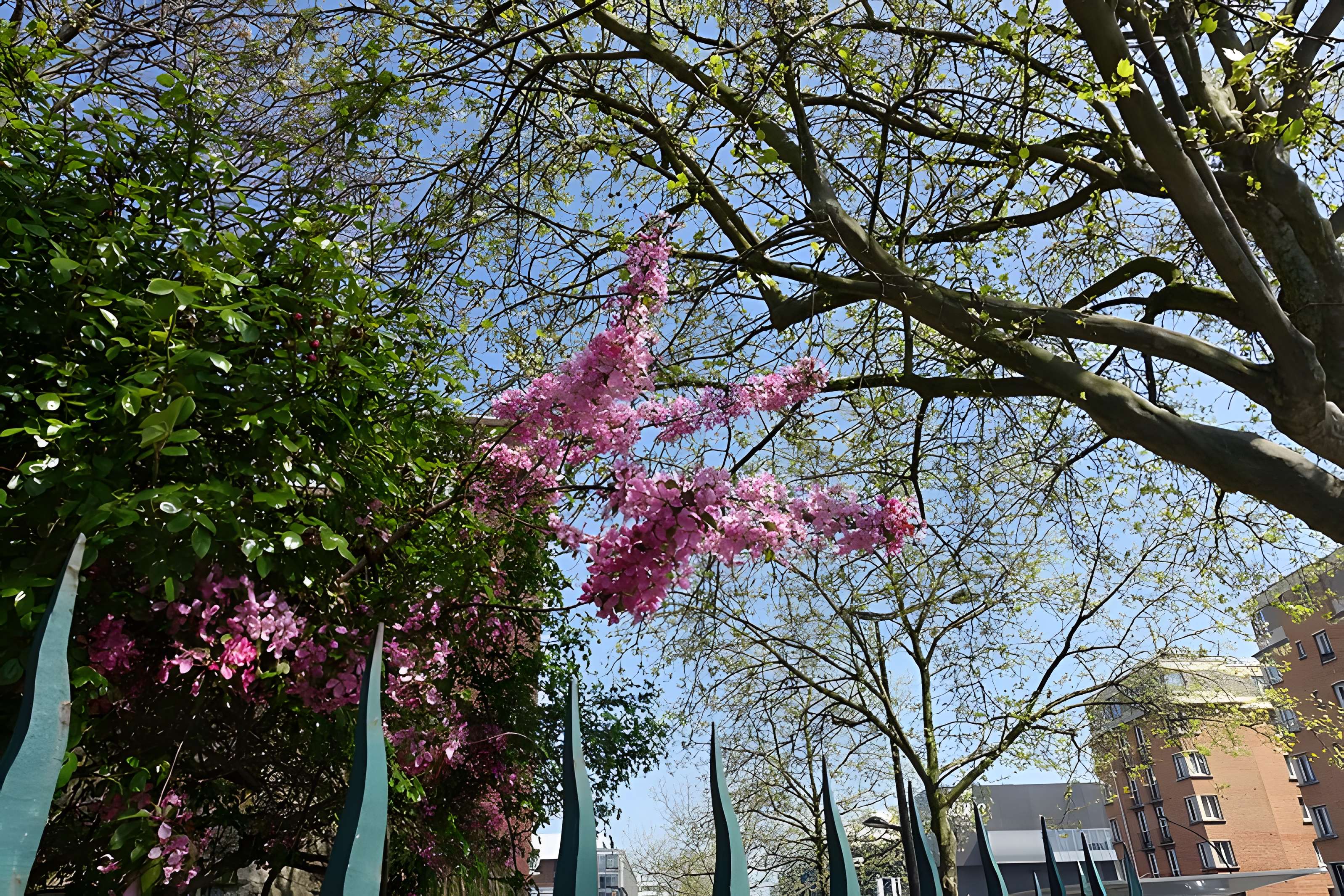 Eaux de Belleville : Regard Lecouteux