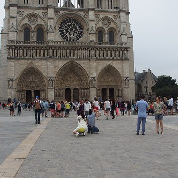 Cathédrale Notre-Dame de Paris