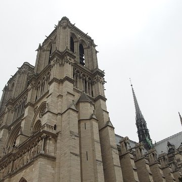 Cathédrale Notre-Dame de Paris