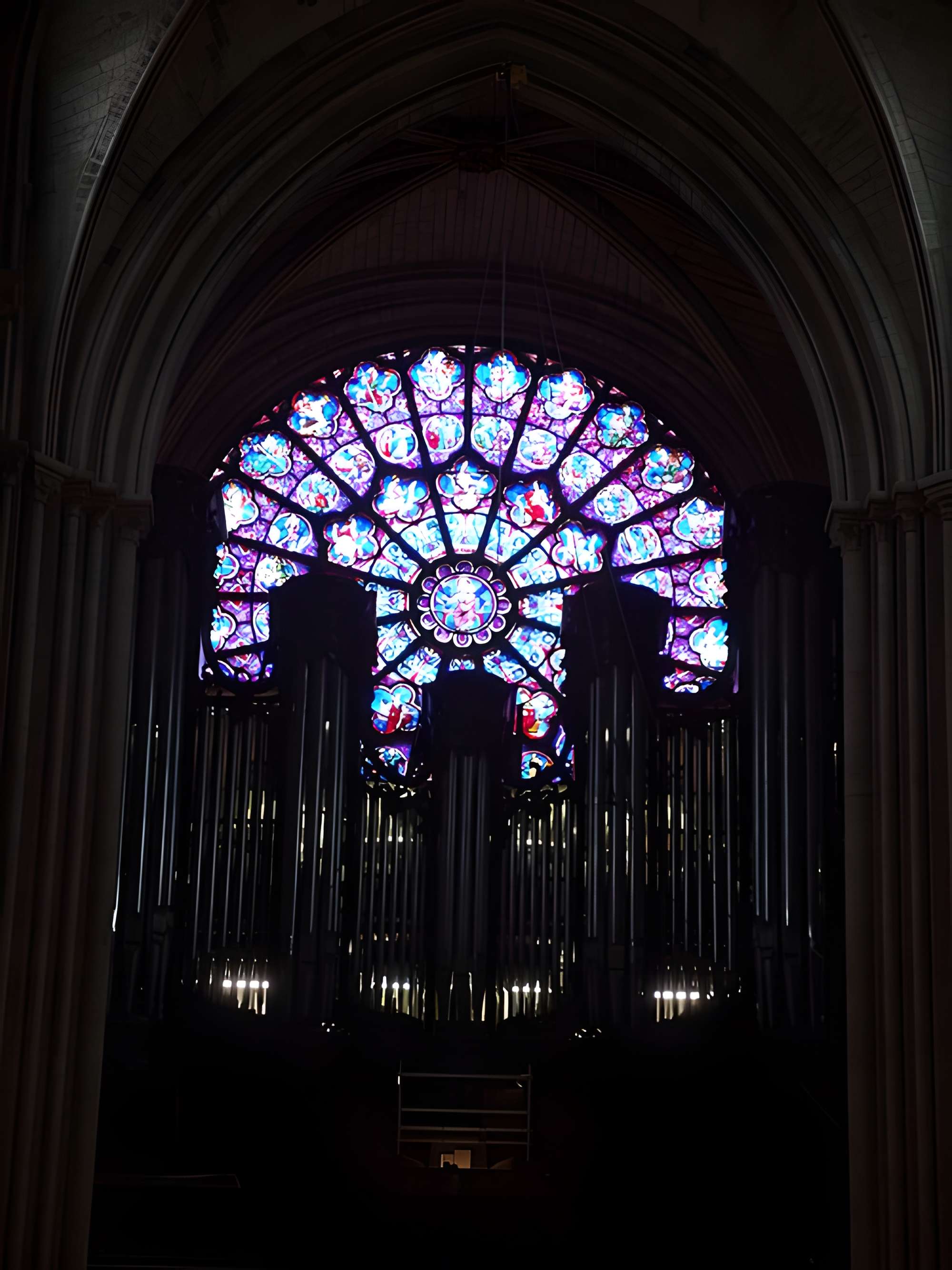 Cathédrale Notre-Dame de Paris