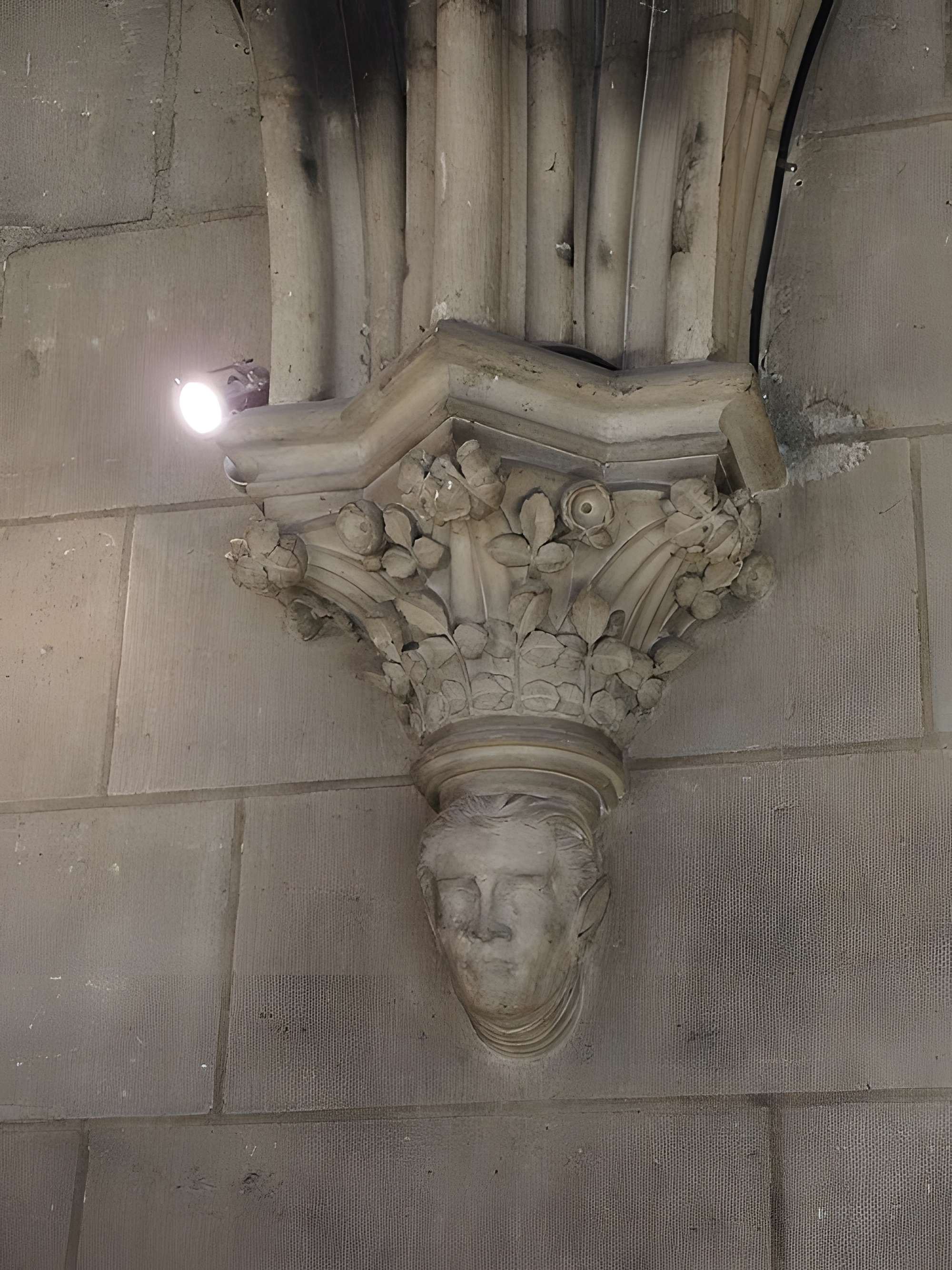 Cathédrale Notre-Dame de Paris