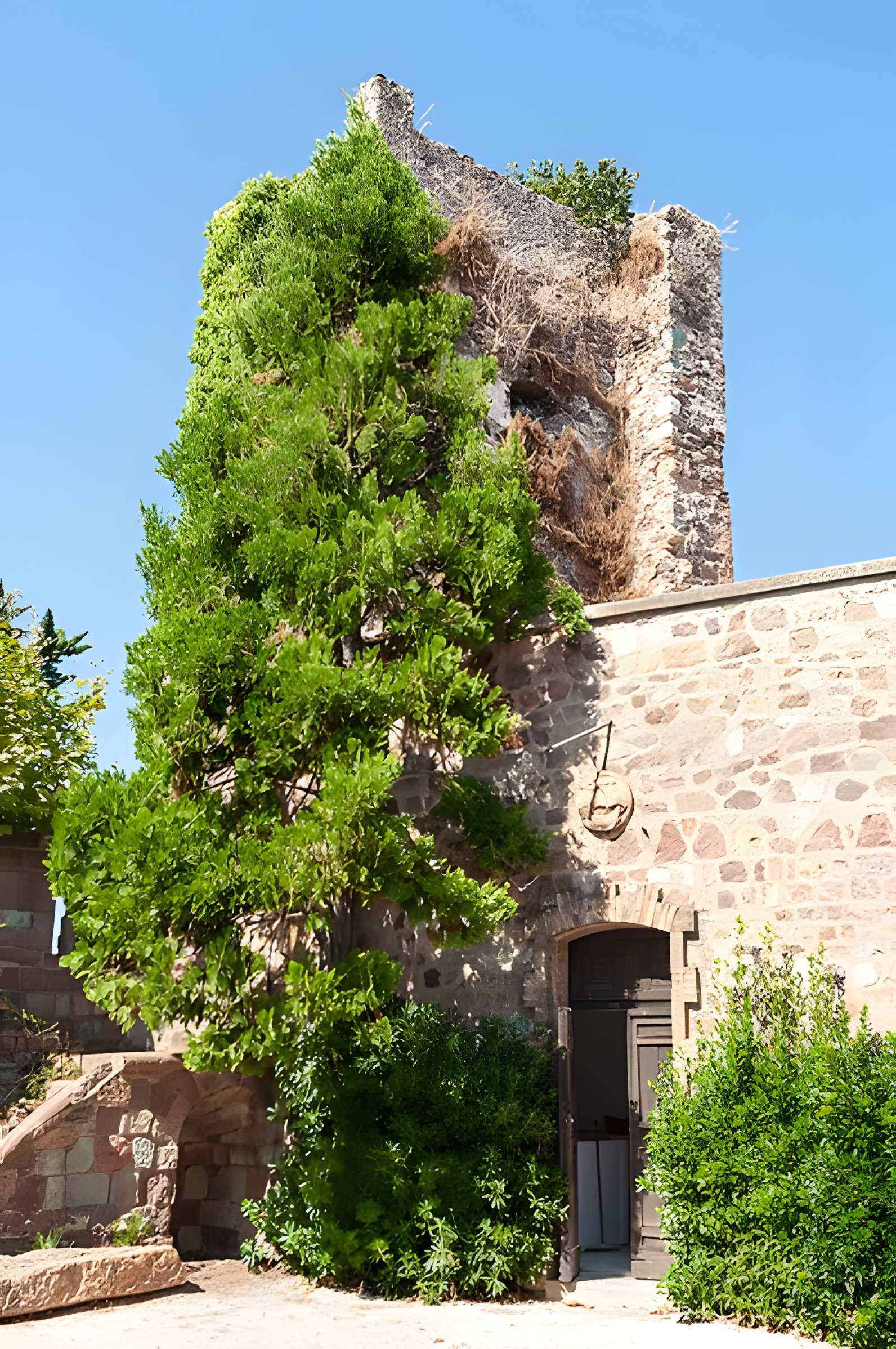 Château de la Napoule