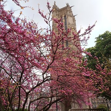Tour Saint-Jacques de Paris