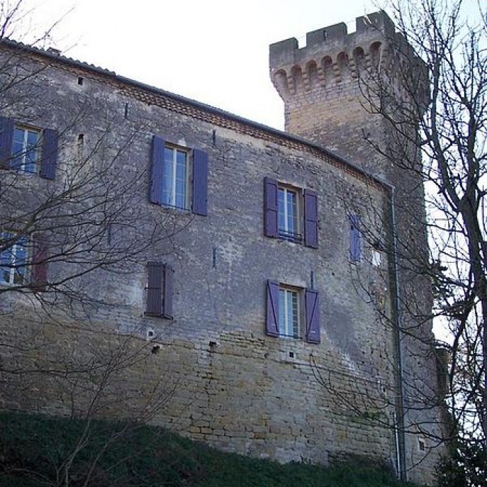 Photo de Château de La Pomarède