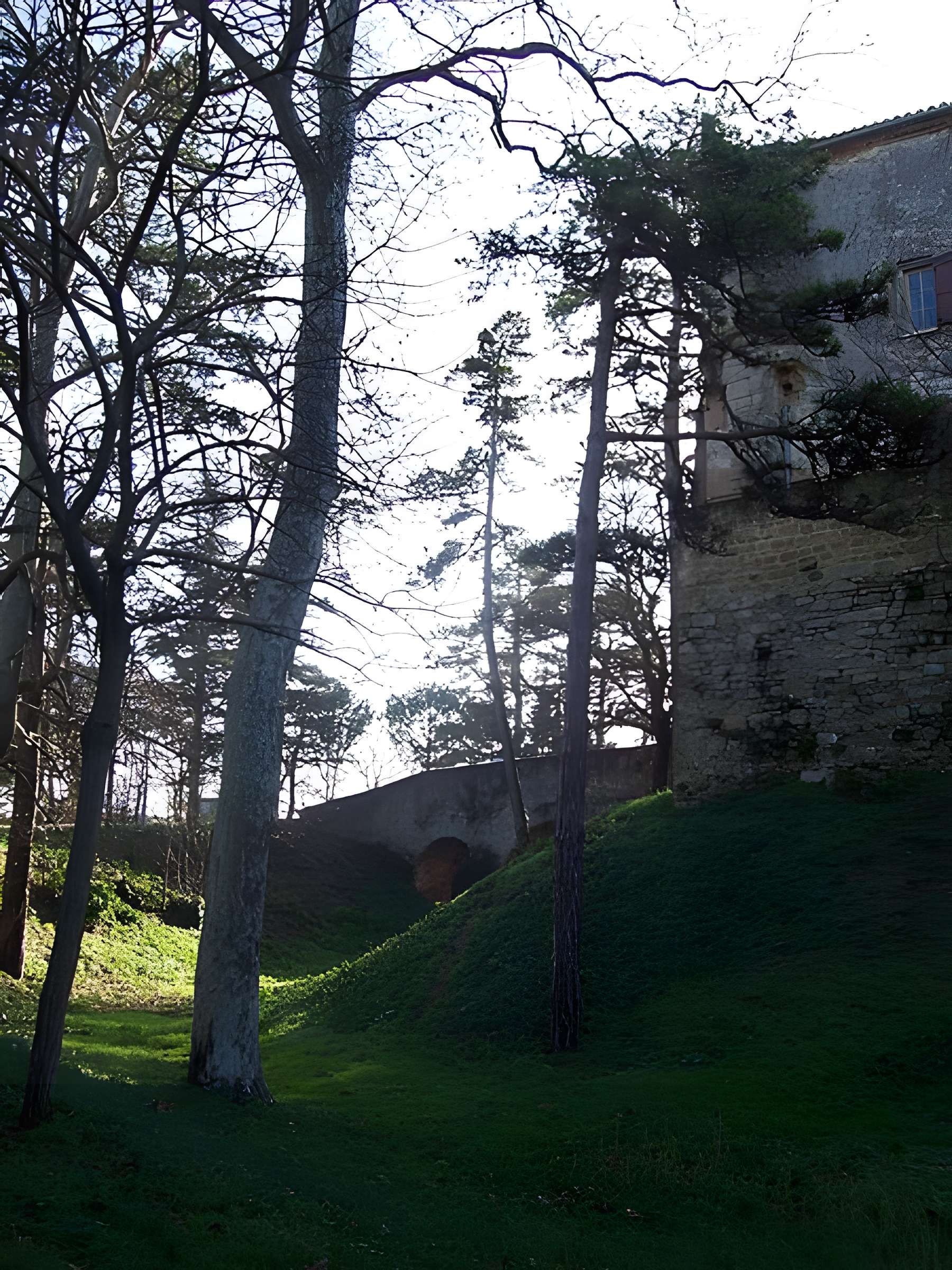 Château de La Pomarède