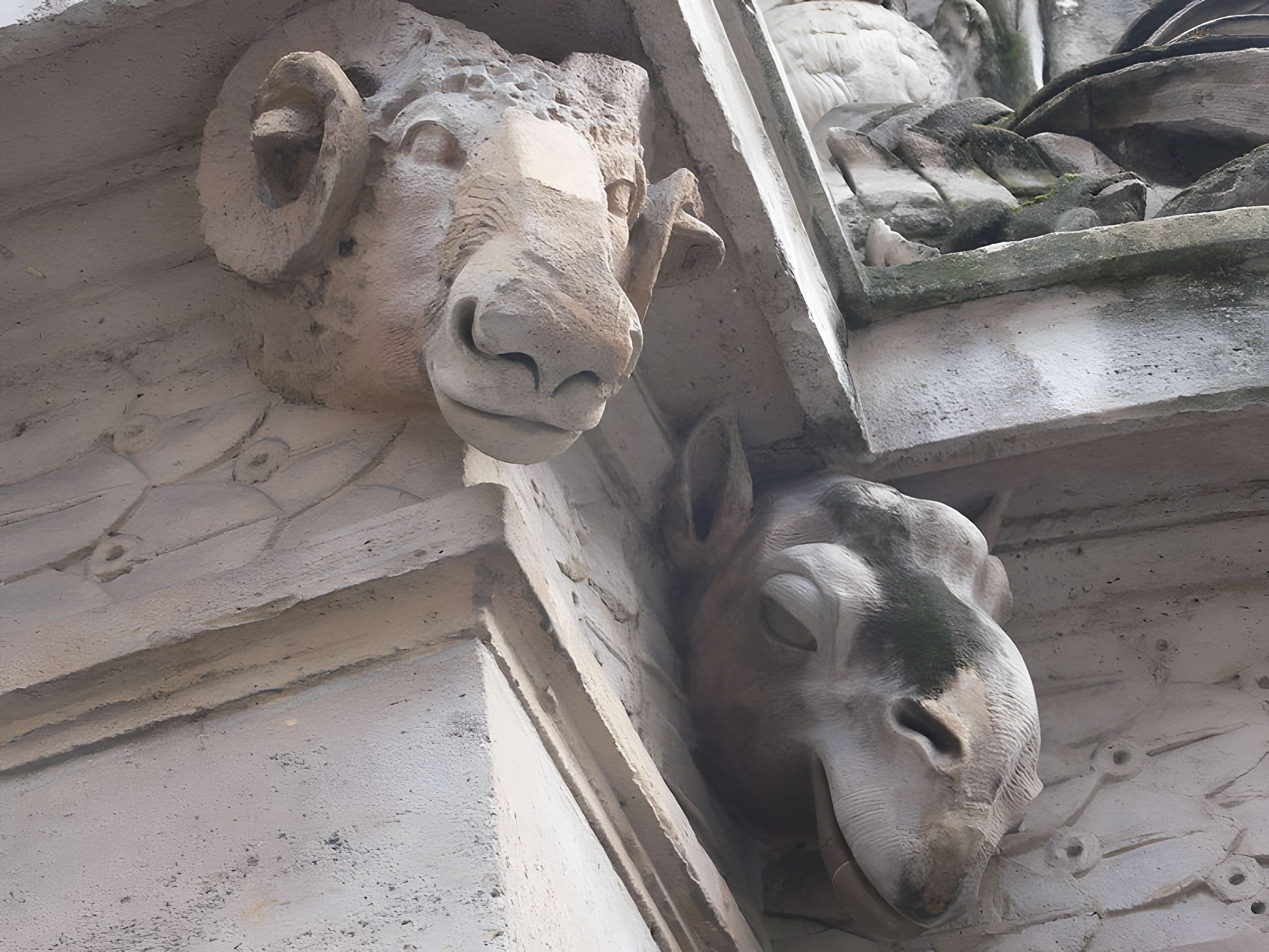 Fontaine Cuvier à Paris