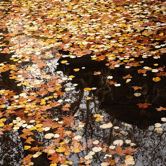 Photo de Fontaine Médicis à Paris