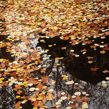 Fontaine Médicis à Paris