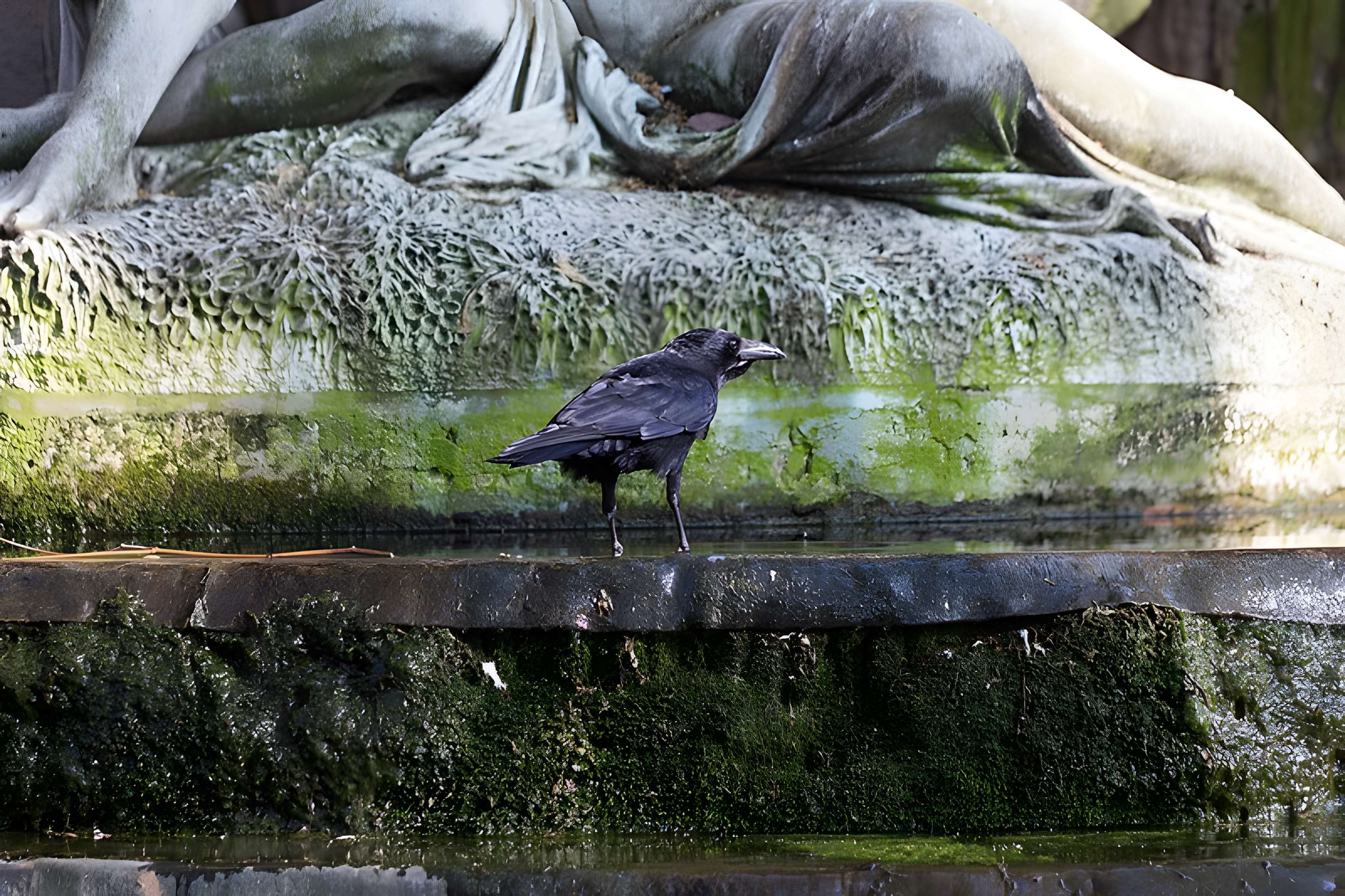 Fontaine Médicis à Paris