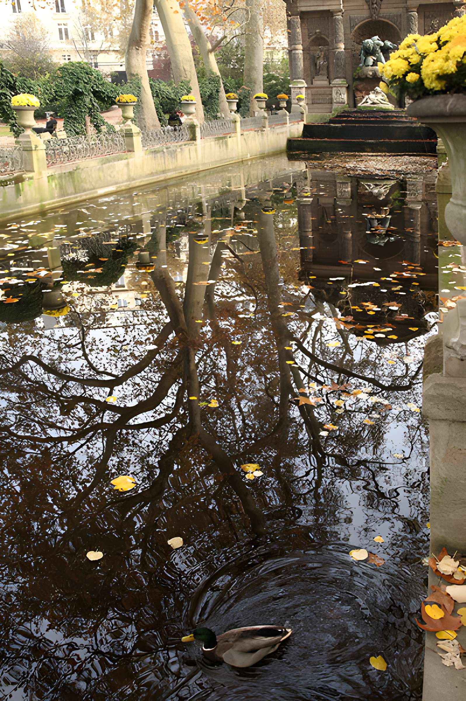 Fontaine Médicis à Paris