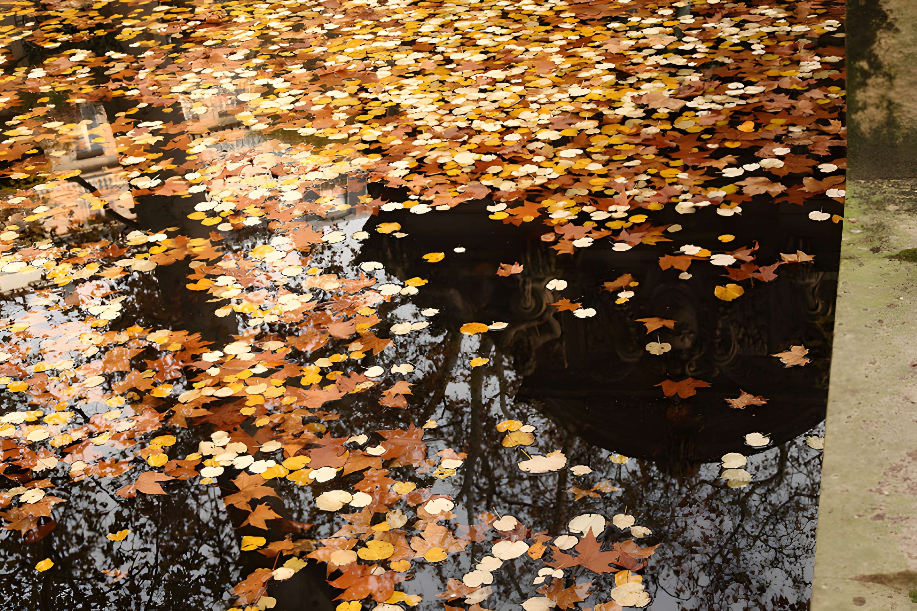 Fontaine Médicis à Paris