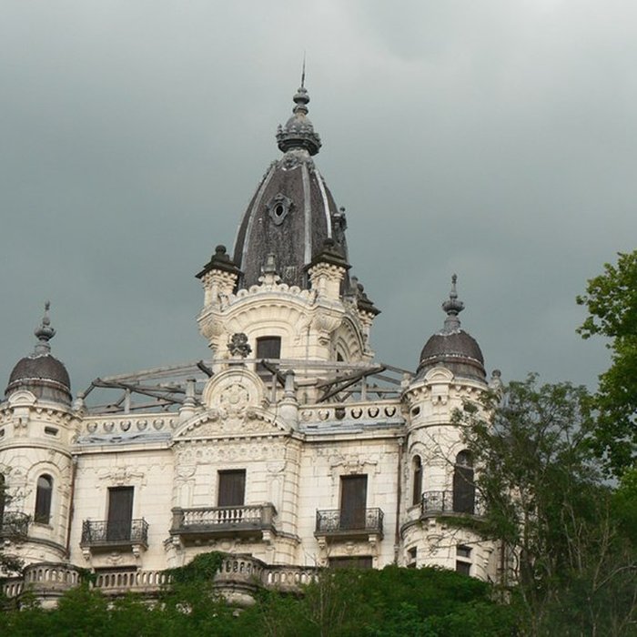 Photo de Château de la Roche du Roi