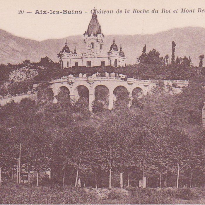 Photo de Château de la Roche du Roi