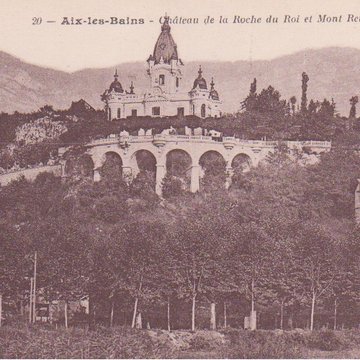 Château de la Roche du Roi