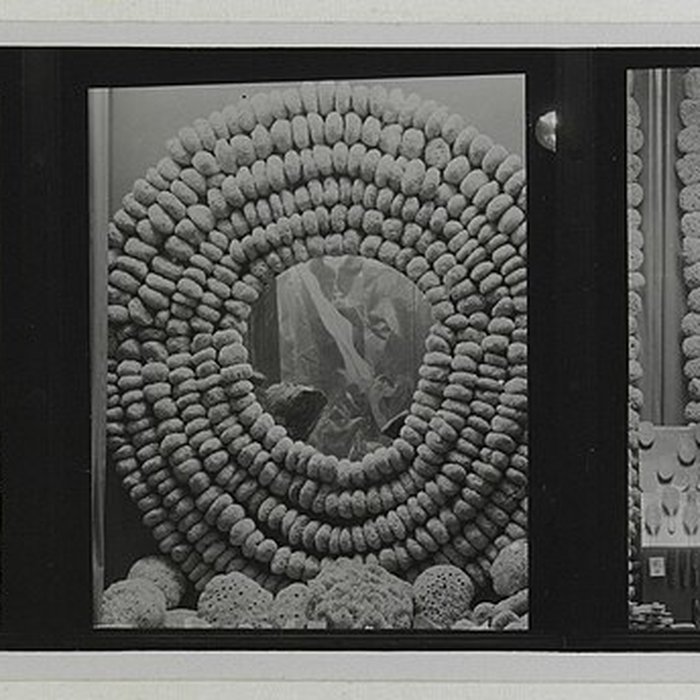 Photo de Le Printemps Haussmann à Paris