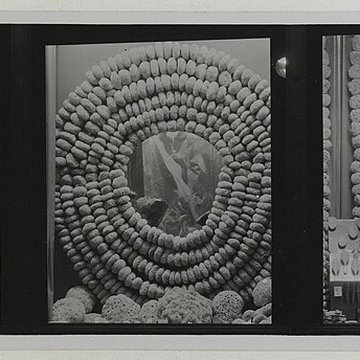 Le Printemps Haussmann à Paris