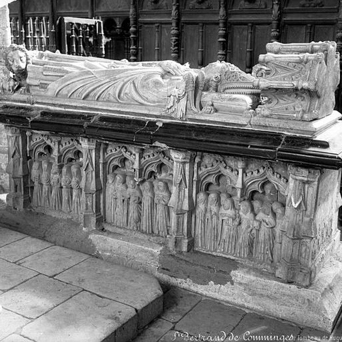 Photo de Cathédrale de Saint-Bertrand-de-Comminges