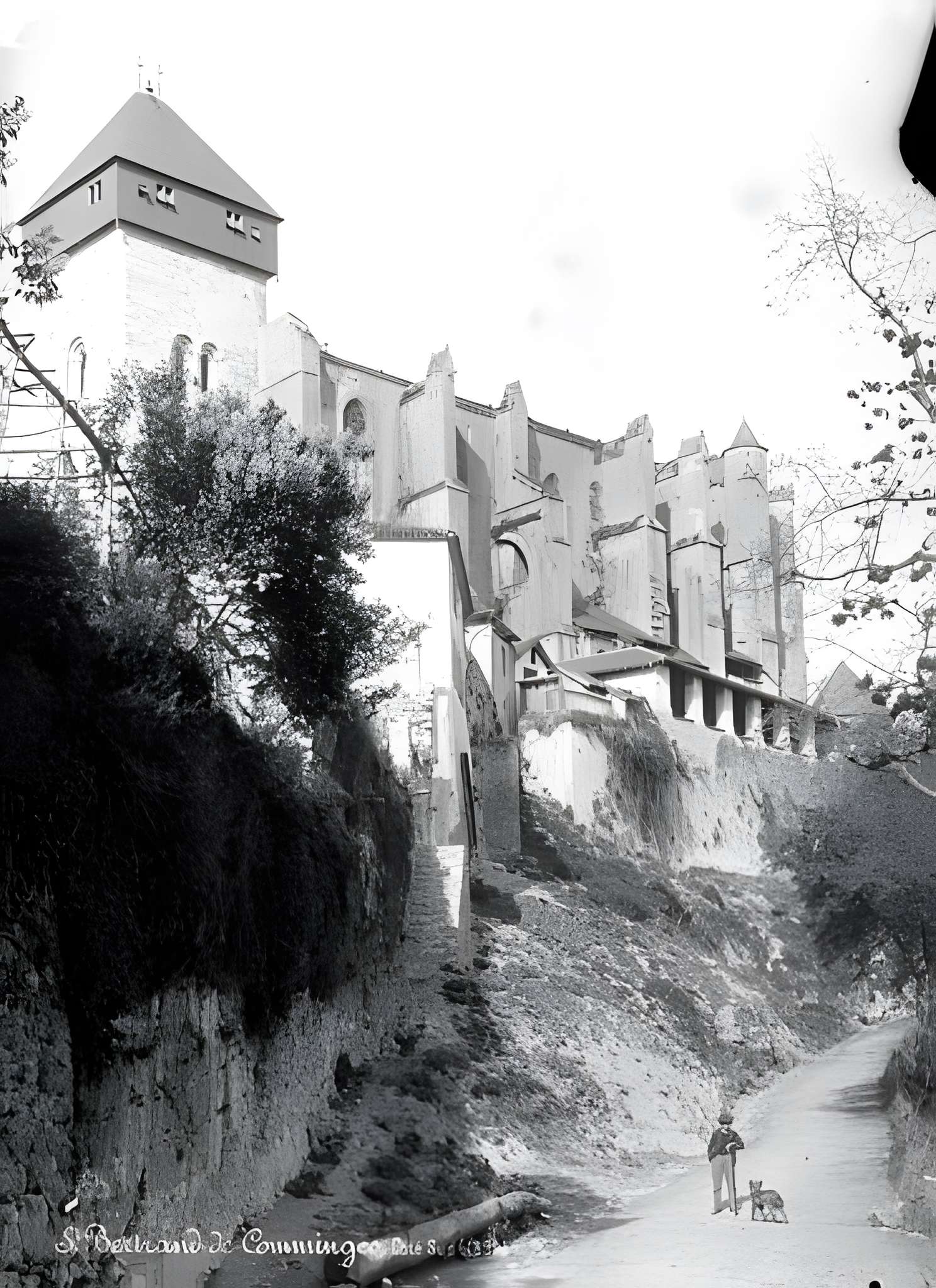 Cathédrale de Saint-Bertrand-de-Comminges
