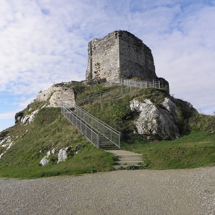 Photo de Château de La Roche-Maurice